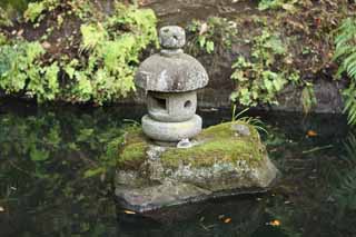 foto,tela,gratis,paisaje,fotografa,idea,Shrine de piedra linterna de Zeniarai - benten, Linterna de piedra, Rana, Esposa de zen - sacerdote principal, Dinero - hacer