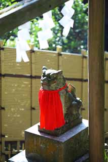 Foto, materiell, befreit, Landschaft, Bild, hat Foto auf Lager,Zeniarai-benten Shrine-Paar von Steinhterhunden, hchst Hund, Eine Schrze, Frau des Hauptzen-Priesters, Profitabel