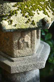 photo,material,free,landscape,picture,stock photo,Creative Commons,Zeniarai-benten Shrine stone lantern, stone lantern, Buddha, Wife of chief zen-priest, Money-making