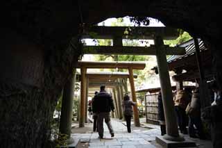 , , , , ,  .,Zeniarai-benten Shrine , torii, ,   -, -