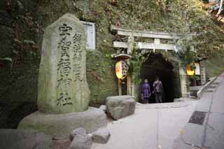 fotografia, material, livra, ajardine, imagine, proveja fotografia,Zeniarai-benten Santurio torii, torii, tnel, Esposa de zen-padre principal, Lucrativo