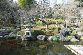 foto,tela,gratis,paisaje,fotografa,idea,Jardn de Temple de Hase - dera, Linterna de piedra, Peces dorados, Buddhism, Chaitya