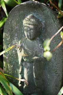 photo,material,free,landscape,picture,stock photo,Creative Commons,Hase-dera Temple Ishibotoke, stone statue, Grass, Buddhism, Chaitya