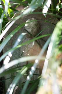 photo,material,free,landscape,picture,stock photo,Creative Commons,Hase-dera Temple Ishibotoke, stone statue, Grass, Buddhism, Chaitya