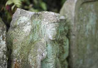 Foto, materiell, befreit, Landschaft, Bild, hat Foto auf Lager,Hase-dera-Tempel Ishibotoke, steinigen Sie Statue, Moos, Buddhismus, Chaitya