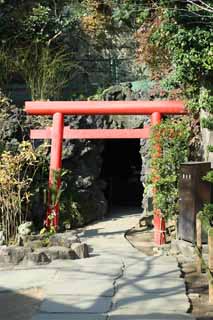 Foto, materieel, vrij, landschap, schilderstuk, bevoorraden foto,Hase-dera Tempel vrouw van de opperhoofd zen-preutsste grot, Torii, Vrouw van de opperhoofd zen-pastoor, Sarasvati, Boeddhisme