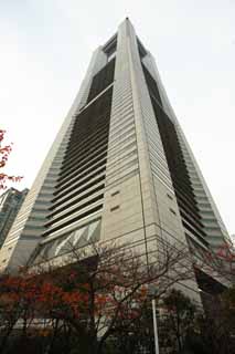 Foto, materiell, befreit, Landschaft, Bild, hat Foto auf Lager,Yokohama-Orientierungspunkt Turm, Orientierungspunktturm, Es ist hoch, Hochhaus, knftige modellhafte Stadt