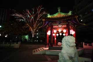 photo, la matire, libre, amnage, dcrivez, photo de la rserve,Yokohama Chinatown, vue de la nuit, chef, Un arbre, Illuminations