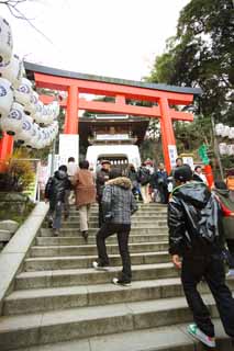 photo, la matire, libre, amnage, dcrivez, photo de la rserve,Temple Eshima torii Tsunomiya latral, torii, Temple shintoste, , Ozunu Enno
