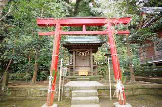 ,,, ,,, Inari Tsunomiya   Eshima.,  .,  .,  Inari.,  Akiba.