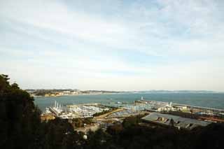 ,,, ,,, Enoshima.,  .,   Miura.,  ., .