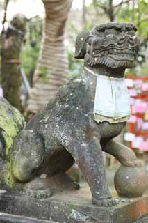 Foto, materieel, vrij, landschap, schilderstuk, bevoorraden foto,Eshima Shrine Okutsu heiligdom, Tweetal van stenige beschermer honden, Shinto heiligdom, Top hond, Een boezelaar