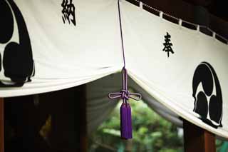 photo,material,free,landscape,picture,stock photo,Creative Commons,Hikawa Shrine curtain, Tomoe, Dedication, bunch, Shinto shrine