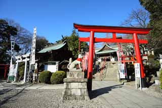 photo,material,free,landscape,picture,stock photo,Creative Commons,Sanko Inari Shrine, Monkey Tabiko Shrine, guardian deity, Inari, torii