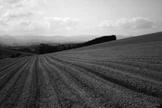 Foto, materieel, vrij, landschap, schilderstuk, bevoorraden foto,Verdwijning piek van de kamen, Kam, Veld, Wolk, 