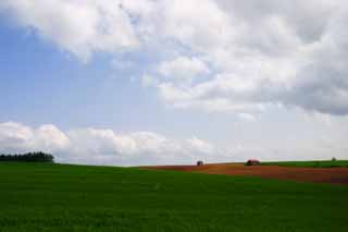 photo,material,free,landscape,picture,stock photo,Creative Commons,Pasture and cloud, pasture, hut, blue sky, cloud
