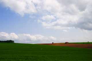 Foto, materieel, vrij, landschap, schilderstuk, bevoorraden foto,Wei en bewolken, Wei, Stulp, Blauwe lucht, Wolk