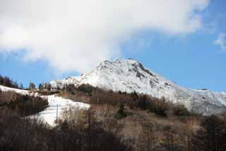 fotografia, materiale, libero il panorama, dipinga, fotografia di scorta,Un pendio, Yatsugatake, pendio, sci, pista