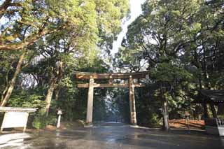 photo, la matire, libre, amnage, dcrivez, photo de la rserve,Torii de Temple Meiji, L'empereur, Temple shintoste, torii, Une approche  un temple