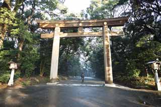 Foto, materiell, befreit, Landschaft, Bild, hat Foto auf Lager,Meiji Shrine torii, Der Kaiser, Schintoistischer Schrein, torii, Ein Ansatz zu einem Schrein