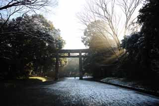 photo,material,free,landscape,picture,stock photo,Creative Commons,The light of the oracle, Sei God, light line, torii, Brightness