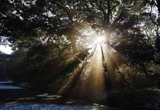 fotografia, materiale, libero il panorama, dipinga, fotografia di scorta,La luce dell'oracolo, Sei Dio, linea leggera, Luce sacra, Luminosit