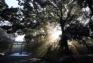 fotografia, materiale, libero il panorama, dipinga, fotografia di scorta,La luce dell'oracolo, Sei Dio, linea leggera, Luce sacra, Luminosit