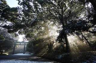 photo, la matire, libre, amnage, dcrivez, photo de la rserve,La lumire de l'oracle, Sei Dieu, ligne lgre, Lumire sacre, Luminosit