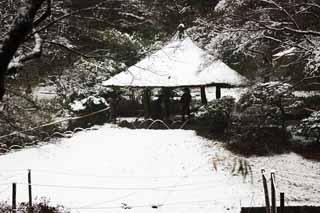 photo,material,free,landscape,picture,stock photo,Creative Commons,Meiji Shrine Imperial garden, Shinto shrine, An arbor, The Emperor, Nature