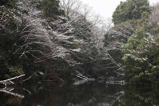 , , , , ,  .,Meiji Shrine Imperial , Shinto shrine, , , 