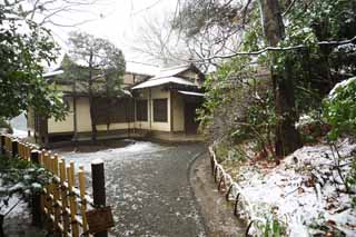 Foto, materieel, vrij, landschap, schilderstuk, bevoorraden foto,Meiji Heiligdom, Shinto heiligdom, Thee-plechtigheid kamer, De Keizer, Thee plechtigheid