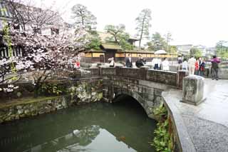 fotografia, material, livra, ajardine, imagine, proveja fotografia,Kurashiki Imahashi, Cultura tradicional, ponte de pedra, rvore de cereja, A histria