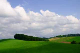 photo,material,free,landscape,picture,stock photo,Creative Commons,Hills and cloud, grove, cloud, blue sky, 