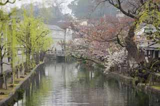 ,,, ,,, Kurashiki Kurashiki.,  .,  .,  ., .