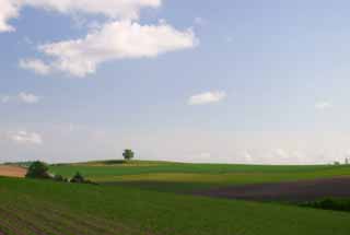 Foto, materiell, befreit, Landschaft, Bild, hat Foto auf Lager,Gewaltiges Ackerland, Feld, Wolke, blauer Himmel, 