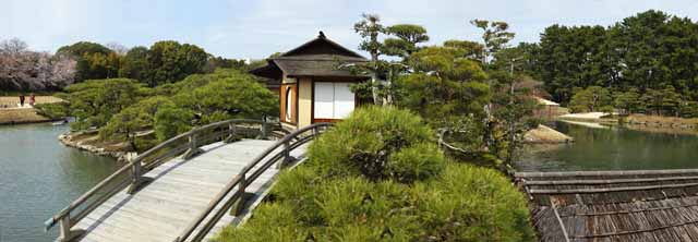 foto,tela,gratis,paisaje,fotografa,idea,Isla cabina de descanso de Korakuen, Cabina de descanso, Puente, Habitacin de ceremonia del t, Jardn japons