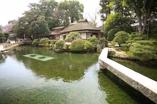 photo, la matire, libre, amnage, dcrivez, photo de la rserve,Koraku-en jardin Renchiken, shoji, Btiment du Japonais-style, toit paille-de chaume, carpe