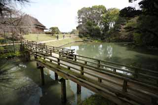 fotografia, materiale, libero il panorama, dipinga, fotografia di scorta,Lo stagno del Koraku-en Garden foglia floreale, ponte, Io sono di legno, ringhiera, I giapponesi fanno del giardinaggio