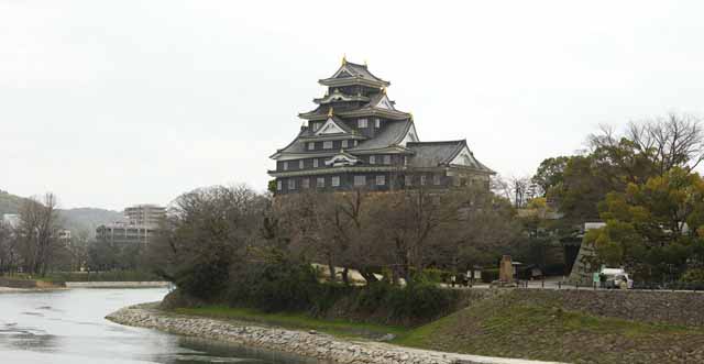 photo,material,free,landscape,picture,stock photo,Creative Commons,Okayama-jo Castle, castle, The castle tower, Crow Castle, Crow Castle