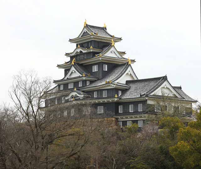 fotografia, material, livra, ajardine, imagine, proveja fotografia,Okayama-jo Castelo, castelo, A torre de castelo, Castelo de corvo, 