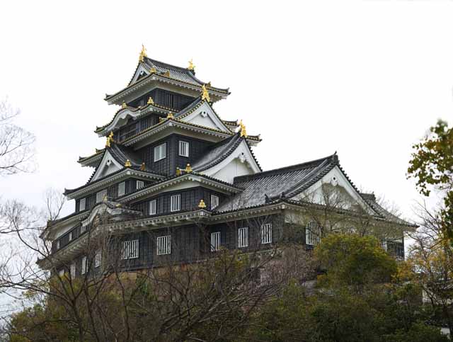 fotografia, material, livra, ajardine, imagine, proveja fotografia,Okayama-jo Castelo, castelo, A torre de castelo, Castelo de corvo, 