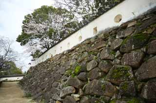 Foto, materieel, vrij, landschap, schilderstuk, bevoorraden foto,Okayama-jo Kasteel kasteel muur, Kasteel, Ishigaki, Kraai Kasteel, 