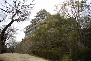 Foto, materiell, befreit, Landschaft, Bild, hat Foto auf Lager,Okayama-jo Burg, Burg, Der Burgturm, Krhen Sie Burg, 