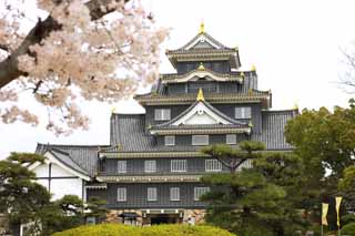 Foto, materieel, vrij, landschap, schilderstuk, bevoorraden foto,Okayama-jo Kasteel, Kasteel, Het kasteel toren, Kraai Kasteel, 