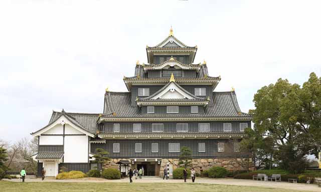 fotografia, materiale, libero il panorama, dipinga, fotografia di scorta,Okayama-jo il Castello, castello, La torre di castello, Castello di corvo, 