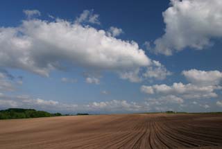 photo, la matire, libre, amnage, dcrivez, photo de la rserve,Ciel de l't bleu clair, champ, nuage, ciel bleu, bleu