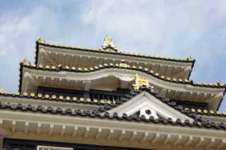 photo,material,free,landscape,picture,stock photo,Creative Commons,Okayama-jo Castle, castle, The castle tower, Crow Castle, 