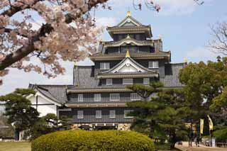 photo,material,free,landscape,picture,stock photo,Creative Commons,Okayama-jo Castle, castle, The castle tower, Crow Castle, Crow Castle