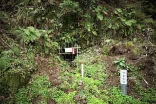 photo,material,free,landscape,picture,stock photo,Creative Commons,An arsenical rat poison from Iwami-silver-mine reserve fund student well, The gallery, vein, An eternal deposit, Somo