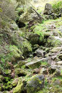 photo,material,free,landscape,picture,stock photo,Creative Commons,Arsenical rat poison from Iwami-silver-mine, The gallery, vein, An eternal deposit, Somo